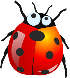 ladybug PNG image-3966